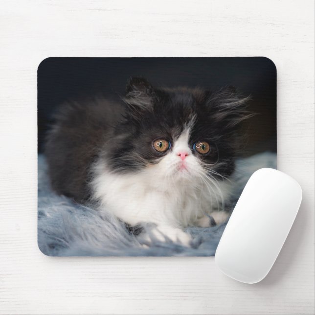 Cutest Baby Animals | Fluffy B&W Kitten Mouse Mat (With Mouse)