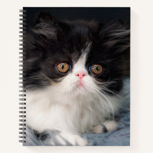 Cutest Baby Animals Fluffy B&W Kitten Notebook