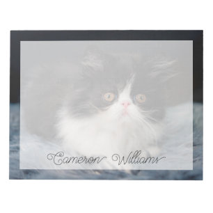 Cutest Baby Animals   Fluffy B&W Kitten Notepad