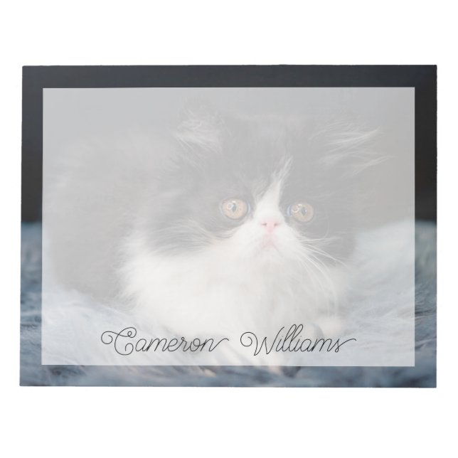 Cutest Baby Animals | Fluffy B&W Kitten Notepad (Front)
