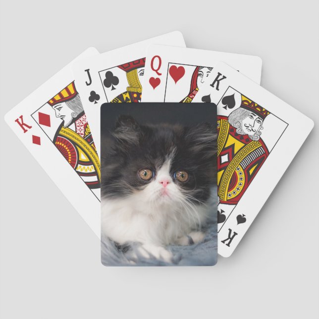 Cutest Baby Animals | Fluffy B&W Kitten Playing Cards (Back)