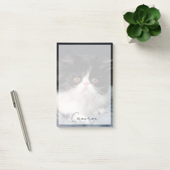 Cutest Baby Animals | Fluffy B&W Kitten Post-it Notes (Office)