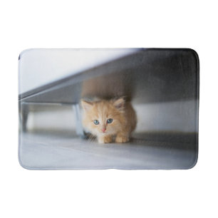 Cutest Baby Animals   Fluffy Orange Kitten Bath Mat