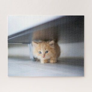 Cutest Baby Animals Fluffy Orange Kitten Jigsaw Puzzle