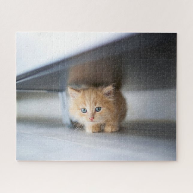 Cutest Baby Animals | Fluffy Orange Kitten Jigsaw Puzzle (Horizontal)