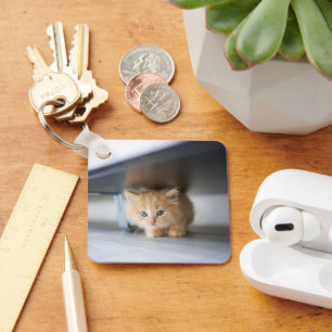 Cutest Baby Animals   Fluffy Orange Kitten Key Ring