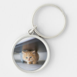 Cutest Baby Animals Fluffy Orange Kitten Key Ring