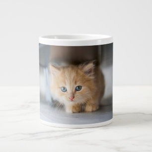 Cutest Baby Animals   Fluffy Orange Kitten Large Coffee Mug