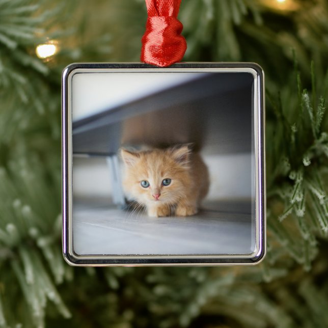 Cutest Baby Animals | Fluffy Orange Kitten Metal Tree Decoration (Tree)