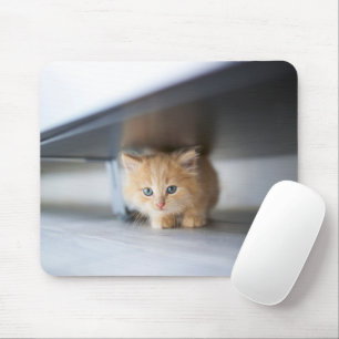Cutest Baby Animals Fluffy Orange Kitten Mouse Mat