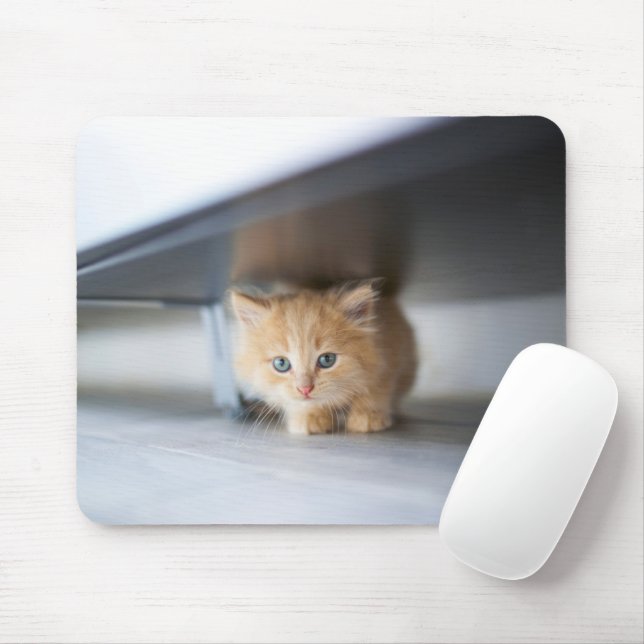 Cutest Baby Animals | Fluffy Orange Kitten Mouse Mat (With Mouse)