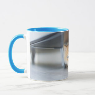 Cutest Baby Animals   Fluffy Orange Kitten Mug