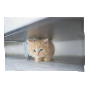 Cutest Baby Animals   Fluffy Orange Kitten Pillowcase