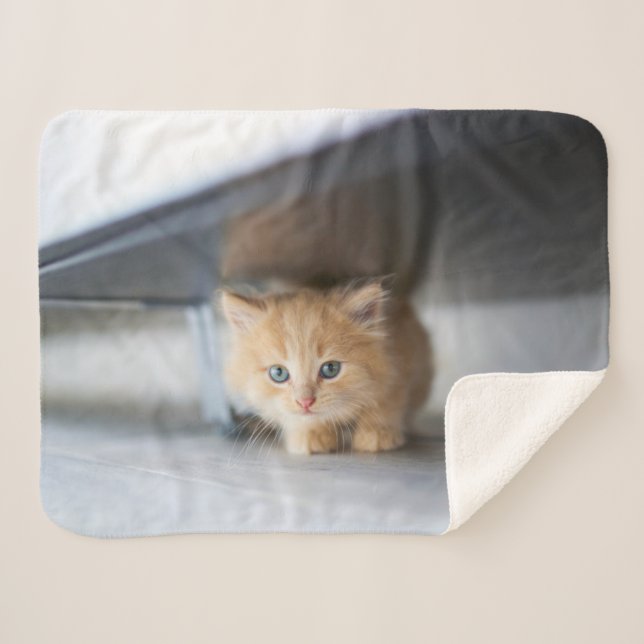 Cutest Baby Animals | Fluffy Orange Kitten Sherpa Blanket (Front (Horizontal))