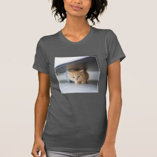 Cutest Baby Animals Fluffy Orange Kitten T-Shirt
