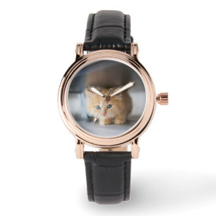 Cutest Baby Animals   Fluffy Orange Kitten Watch