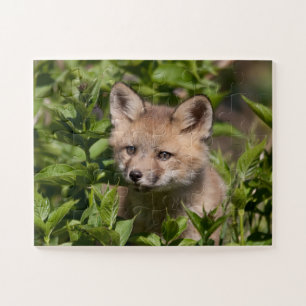 Cutest Baby Animals   Fox Kit Jigsaw Puzzle