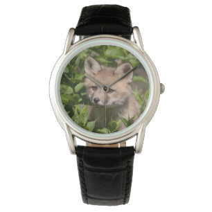 Cutest Baby Animals   Fox Kit Watch