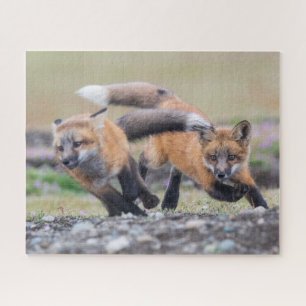 Cutest Baby Animals   Fox Pups at Play Jigsaw Puzzle