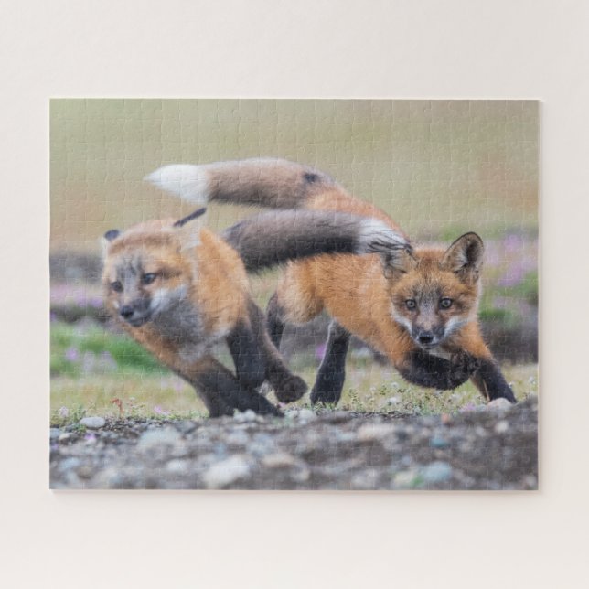 Cutest Baby Animals | Fox Pups at Play Jigsaw Puzzle (Horizontal)