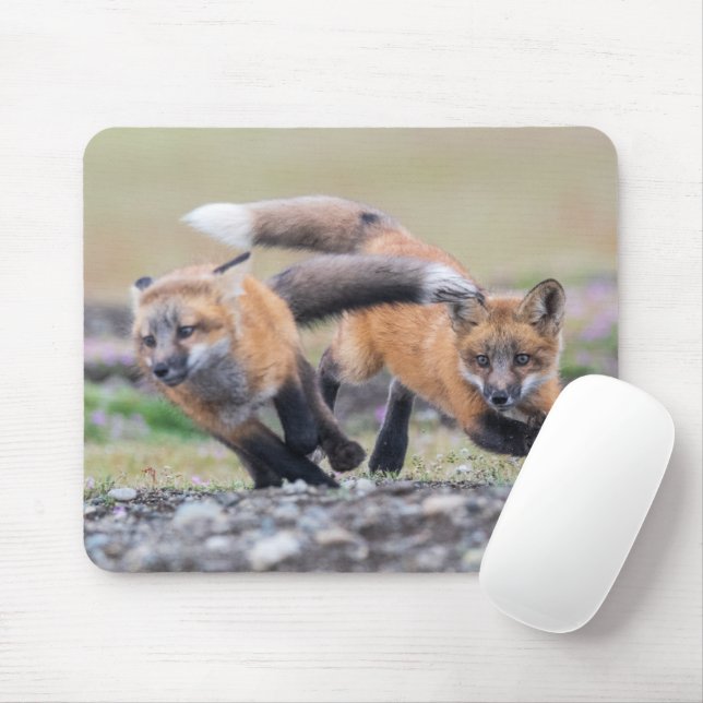 Cutest Baby Animals | Fox Pups at Play Mouse Mat (With Mouse)