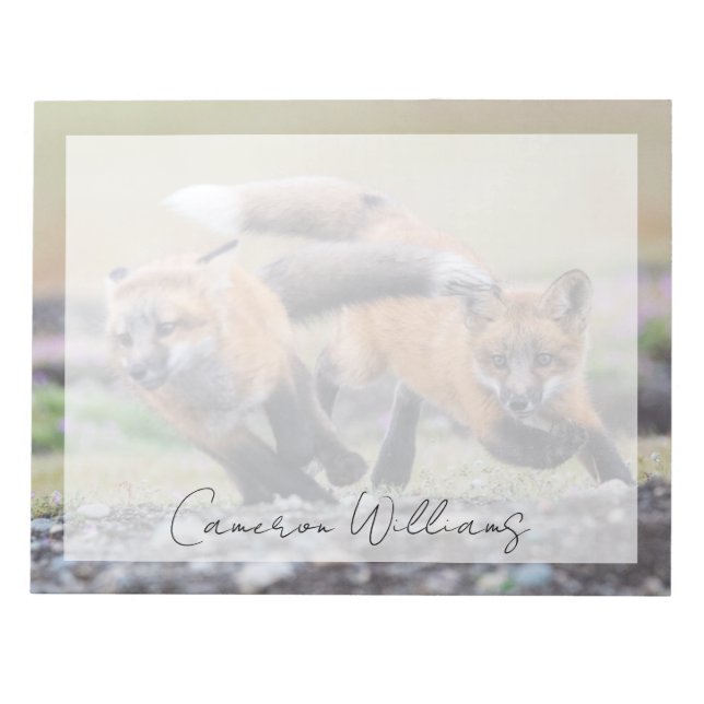 Cutest Baby Animals | Fox Pups at Play Notepad (Front)