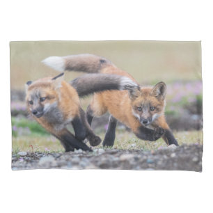 Cutest Baby Animals   Fox Pups at Play Pillowcase