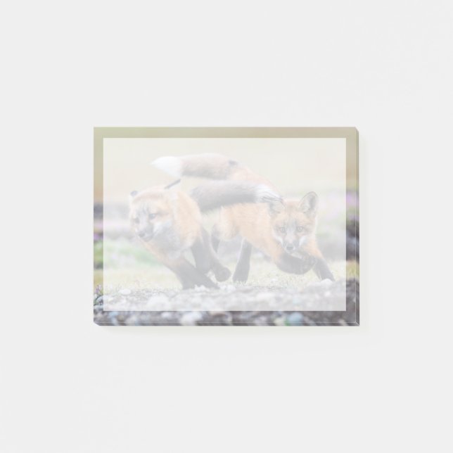 Cutest Baby Animals | Fox Pups at Play Post-it Notes (Front)