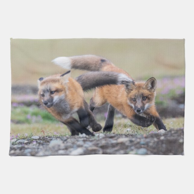 Cutest Baby Animals | Fox Pups at Play Tea Towel (Horizontal)