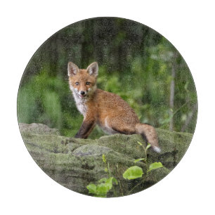 Cutest Baby Animals Foxy Smile Cutting Board