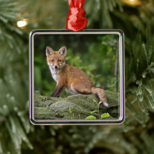 Cutest Baby Animals   Foxy Smile Metal Tree Decoration