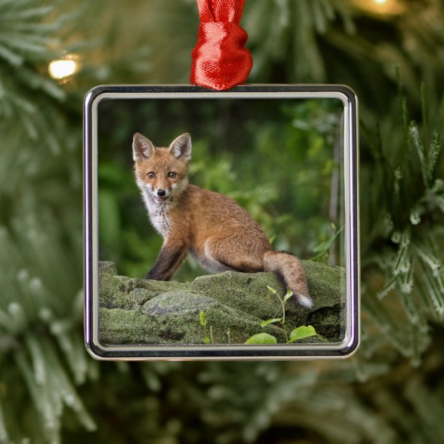 Cutest Baby Animals | Foxy Smile Metal Tree Decoration (Tree)