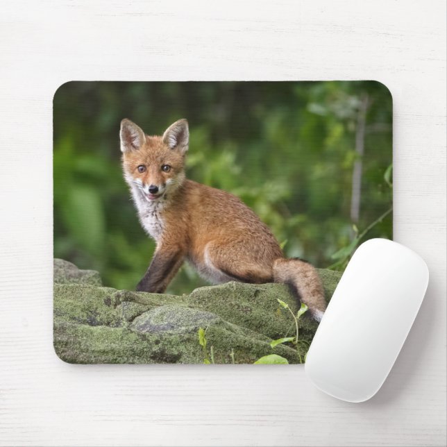 Cutest Baby Animals | Foxy Smile Mouse Mat (With Mouse)