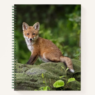 Cutest Baby Animals   Foxy Smile Notebook