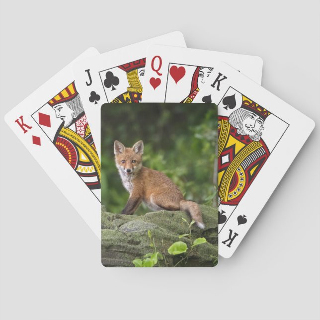 Cutest Baby Animals | Foxy Smile Playing Cards (Back)