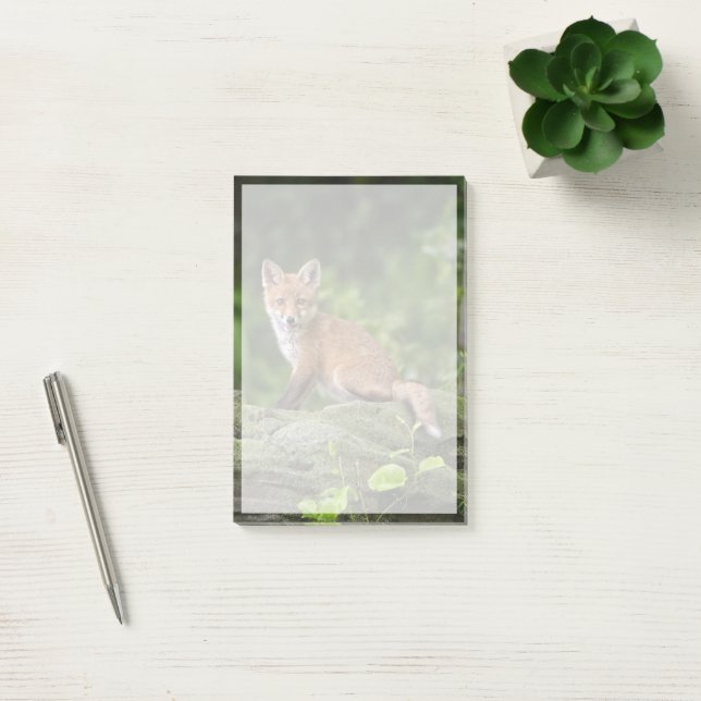 Cutest Baby Animals | Foxy Smile Post-it Notes (Office)