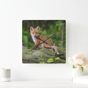 Cutest Baby Animals   Foxy Smile Square Wall Clock