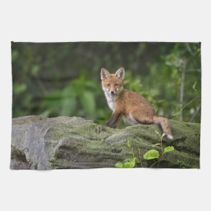 Cutest Baby Animals Foxy Smile Tea Towel