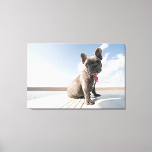 Cutest Baby Animals   French Bulldog Boating Canvas Print