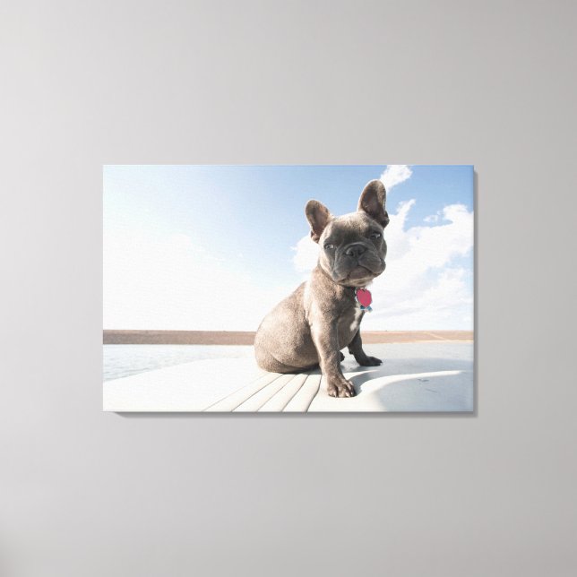 Cutest Baby Animals | French Bulldog Boating Canvas Print (Front)