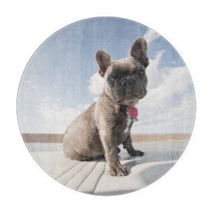 Cutest Baby Animals   French Bulldog Boating Cutting Board