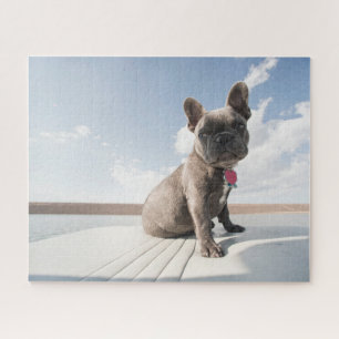 Cutest Baby Animals   French Bulldog Boating Jigsaw Puzzle