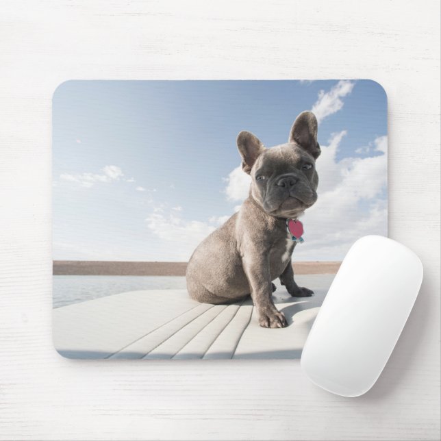 Cutest Baby Animals | French Bulldog Boating Mouse Mat (With Mouse)