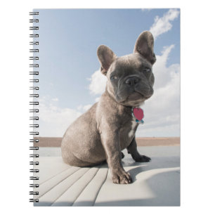 Cutest Baby Animals   French Bulldog Boating Notebook
