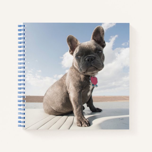 Cutest Baby Animals | French Bulldog Boating Notebook (Front)