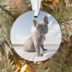 Cutest Baby Animals   French Bulldog Boating Ornament