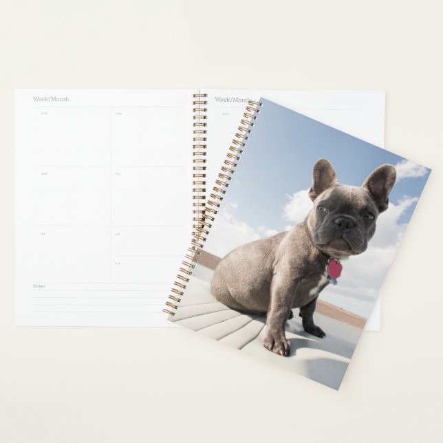 Cutest Baby Animals | French Bulldog Boating Planner (Display)