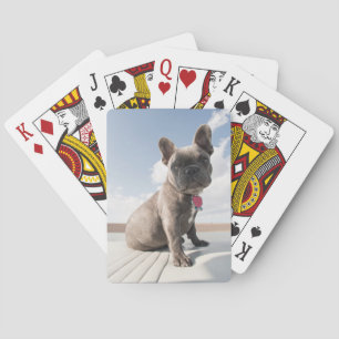 Cutest Baby Animals   French Bulldog Boating Playing Cards