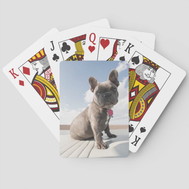 Cutest Baby Animals | French Bulldog Boating Playing Cards (Back)
