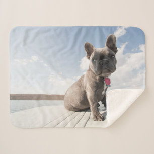 Cutest Baby Animals French Bulldog Boating Sherpa Blanket
